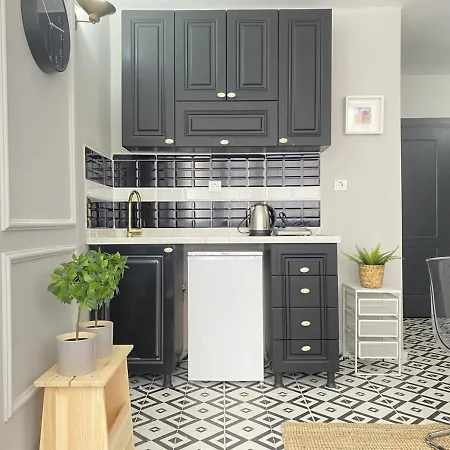 Refreshing And Central Studio Flat In Kabatas דירה איסטמבול